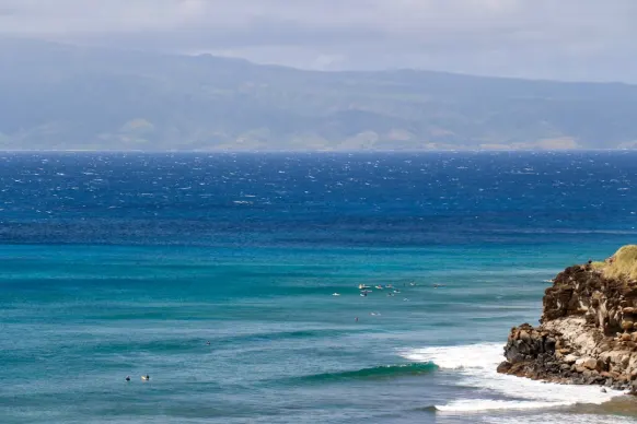 Two Fat Ladies Bingo Casino Support